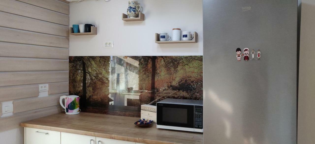 Modern And Cozy Apartment Piteşti Extérieur photo